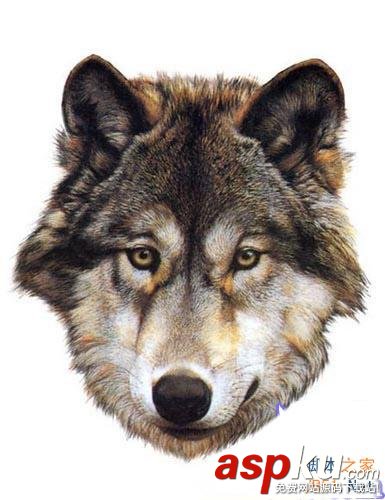 圖文介紹Photoshop另類摳圖方法 Photoshop,摳圖