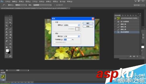 PS,摳圖,快速蒙版