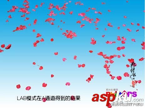 ps大師詳細講解紅花摳圖教程 ps摳圖教程,ps如何摳圖教程,ps怎么摳圖視頻教程