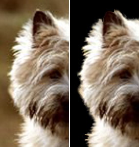 PS摳圖教程之抽出濾鏡摳圖法