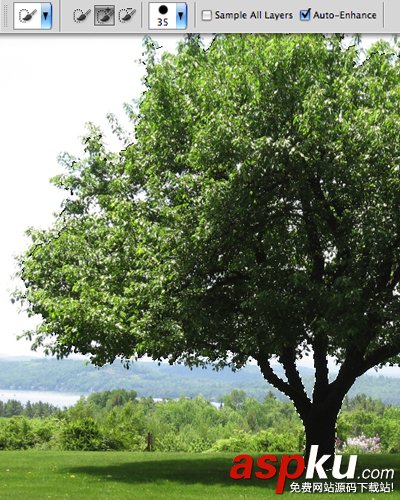 PS快速選擇工具摳圖 PS選擇工具五大摳圖技巧  PS,選擇工具,摳圖