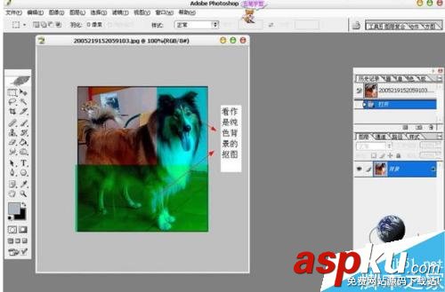 PS摳出圖片中的狗狗 PS,摳圖
