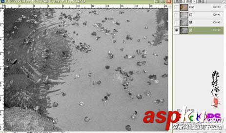 ps大師詳細講解紅花摳圖教程 ps摳圖教程,ps如何摳圖教程,ps怎么摳圖視頻教程