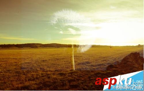 PS怎么扣出蒲公英并換背景? PS,蒲公英