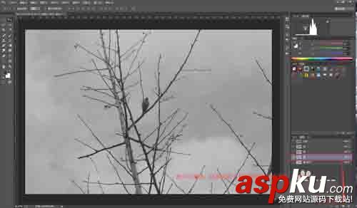 PS利用通道簡單扣樹枝 通道,樹枝