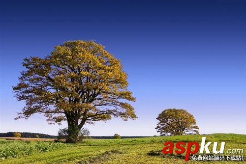 小白必學!PS背景橡皮擦摳圖技巧詳解 PS,背景橡皮擦摳圖