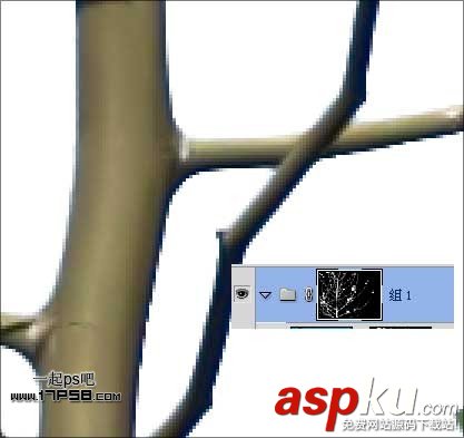 Photoshop摳圖教程:通道和計算命令摳圖實例 photoshop,通道,摳圖