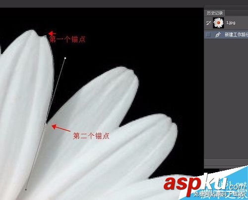 PS如何用鋼筆工具摳圖?PS鋼筆工具摳一朵花 鋼筆工具,摳圖