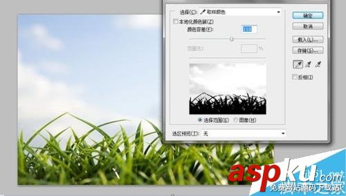 用PS色彩范圍摳凌亂的小草 PS,色彩范圍,摳圖