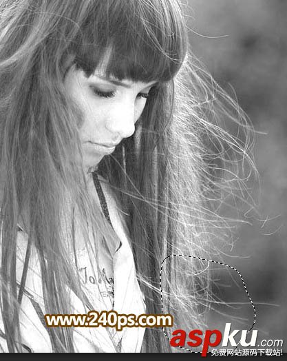 PS利用抽出濾鏡摳出極細的發絲 濾鏡,發絲