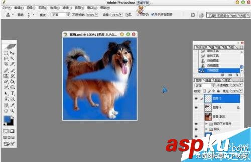 PS摳出圖片中的狗狗 PS,摳圖