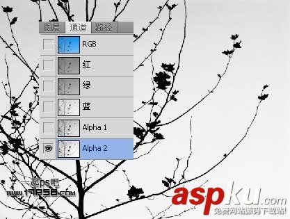 Photoshop摳圖教程:通道和計算命令摳圖實例 photoshop,通道,摳圖