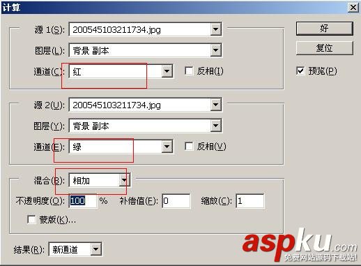 枝葉,樹木,摳圖