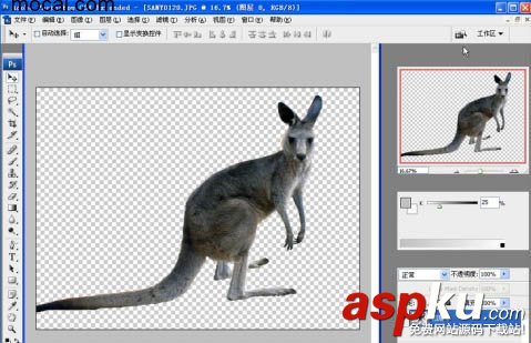 CS4,濾鏡,抽出,摳圖