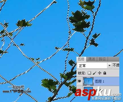 Photoshop摳圖教程:通道和計算命令摳圖實例 photoshop,通道,摳圖