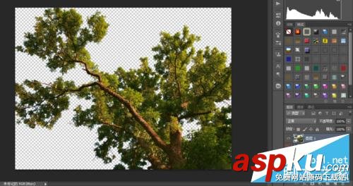 PS利用通道簡單快速地摳出—棵大樹 PS,通道,摳圖