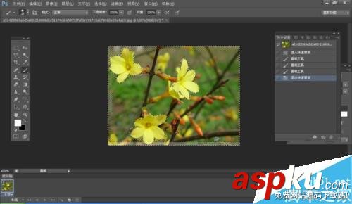 PS,摳圖,快速蒙版