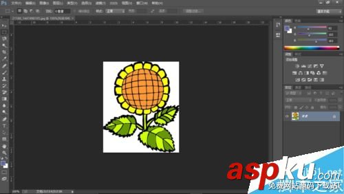 用PS通道摳出一朵向日葵 通道,向日葵