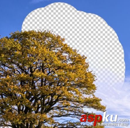 小白必學!PS背景橡皮擦摳圖技巧詳解 PS,背景橡皮擦摳圖