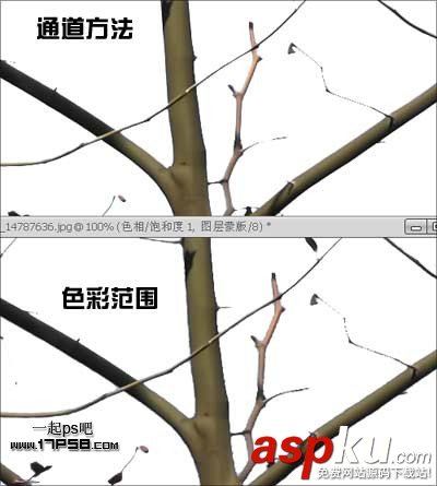 Photoshop摳圖教程:通道和計算命令摳圖實例 photoshop,通道,摳圖