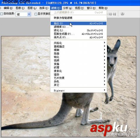 CS4,濾鏡,抽出,摳圖
