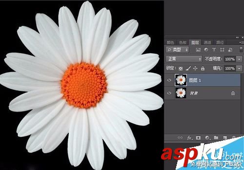 PS如何用鋼筆工具摳圖?PS鋼筆工具摳一朵花 鋼筆工具,摳圖