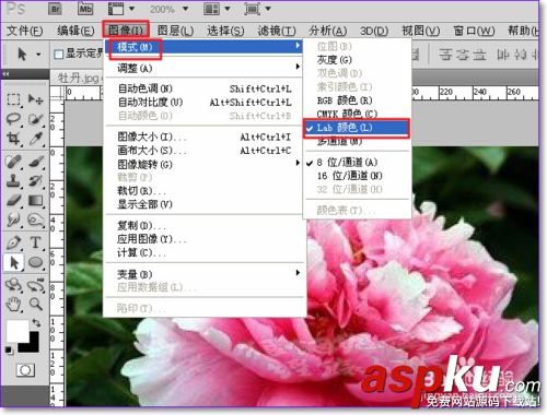 PS怎么用通道摳圖?ps通道摳圖方法圖解 PS怎么用通道摳圖,ps通道摳圖方法