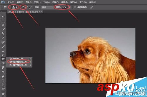 PS6如何完美的摳小動物的毛發 摳圖,動物,毛發,PS6