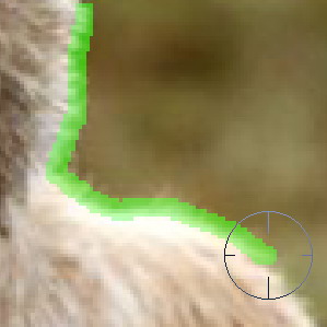 PS摳圖教程之抽出濾鏡摳圖法