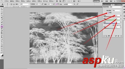 教你怎么用PS反相學(xué)快速摳圖 PS,反相學(xué),摳圖