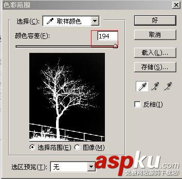 枝葉,樹木,摳圖