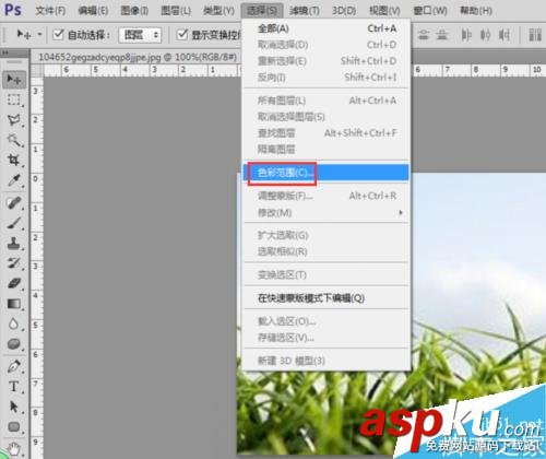 用PS色彩范圍摳凌亂的小草 PS,色彩范圍,摳圖