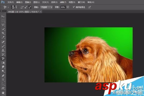 PS6如何完美的摳小動物的毛發 摳圖,動物,毛發,PS6