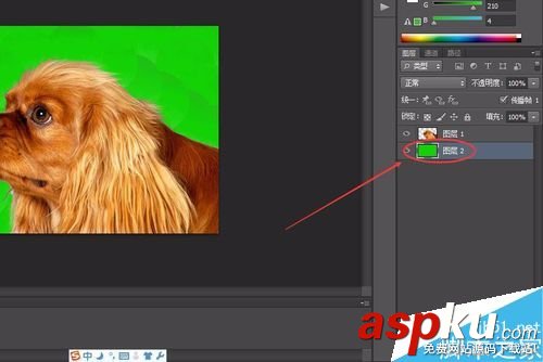 PS6如何完美的摳小動物的毛發 摳圖,動物,毛發,PS6