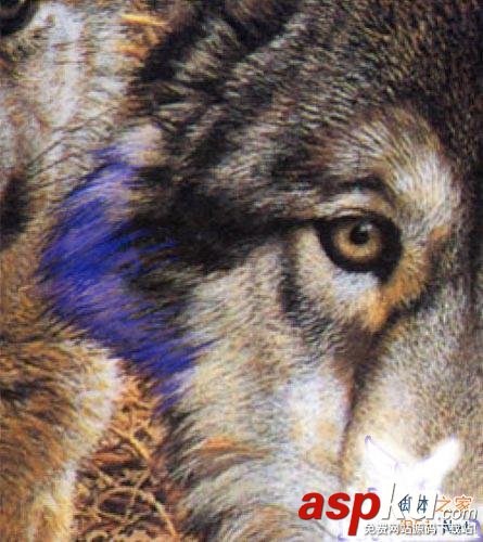 圖文介紹Photoshop另類摳圖方法 Photoshop,摳圖