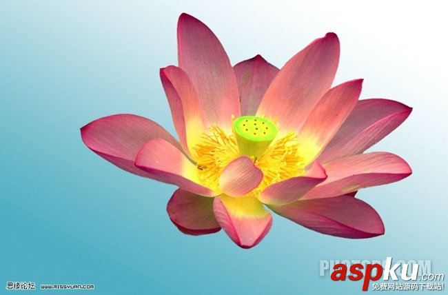 photoshop,Lab,通道,摳圖