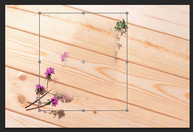 PS的去水印方法(五):移植修圖