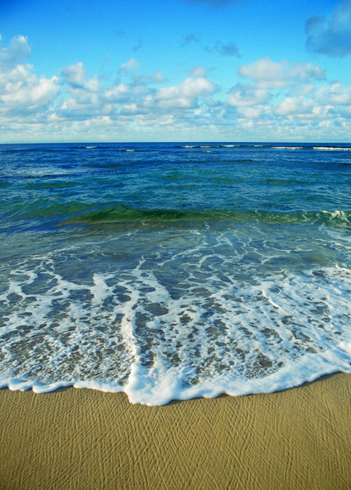 photoshop照片合成教程:美女,海豚與海