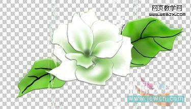 photoshop鼠繪教程:繪制康師傅茉莉清茶圖解_中國教程網
