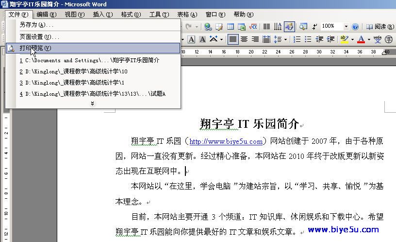 word打印預(yù)覽功能
