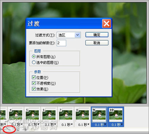 photoshop cs3教程:蜻蜓落荷花動畫 photoshop cs3教程:蜻蜓落荷花動畫