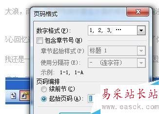 在word中怎么排版頁碼？頁面如何排版？