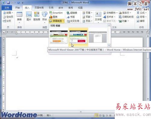選擇插入截圖的窗口