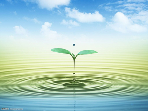 photoshop合成實例：合成水上蝴蝶