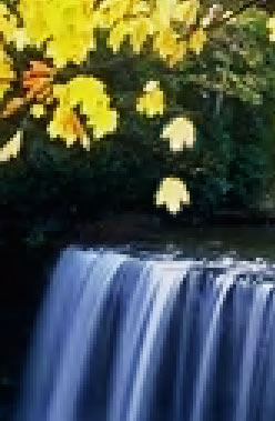 photoshop制作楓葉飄落的動畫風(fēng)景_網(wǎng)頁設(shè)計webjx.com整理