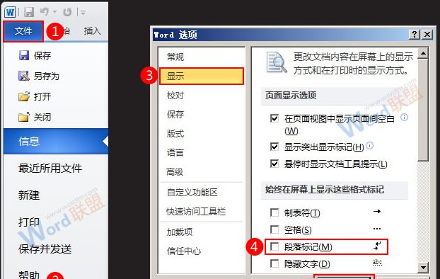 Word2010設(shè)置不顯示回車符