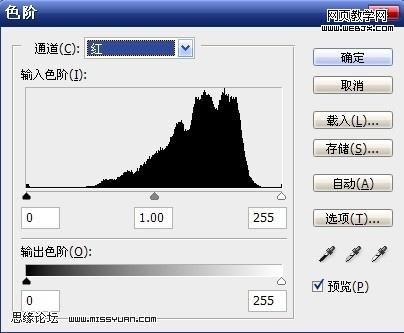 ps調色教程:金粉色調性感美女模特-網頁設計