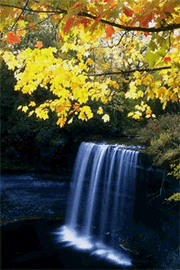 photoshop制作楓葉飄落的動畫風(fēng)景_網(wǎng)頁設(shè)計webjx.com整理