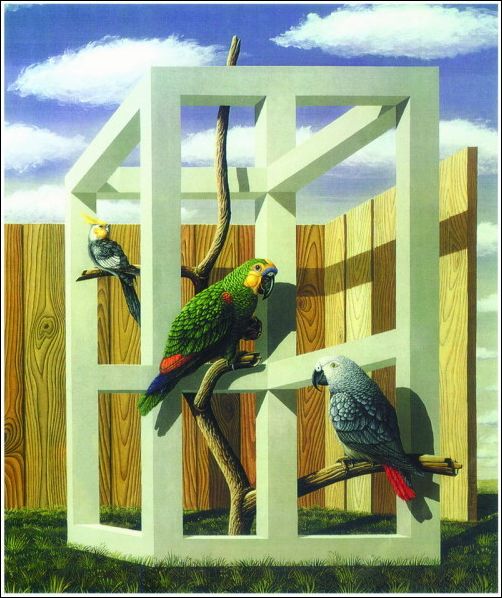 神奇悖論圖欣賞_網頁設計webjx.com網絡整理