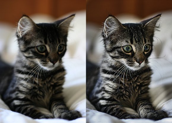 photoshop濾鏡結(jié)合混合模式讓照片變清晰_webjx.com